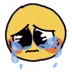 image/Reactions/cry2.webp